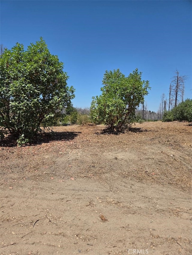 1090 Bald Rock Rd, Berry Creek, CA 95916 - photo 6