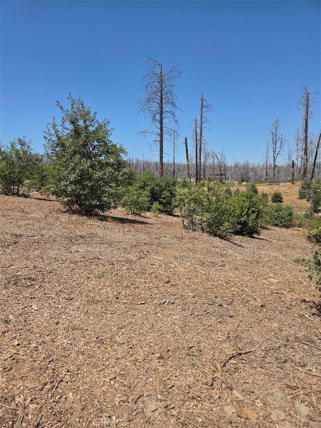 1090 Bald Rock Rd, Berry Creek, CA 95916 - photo 8