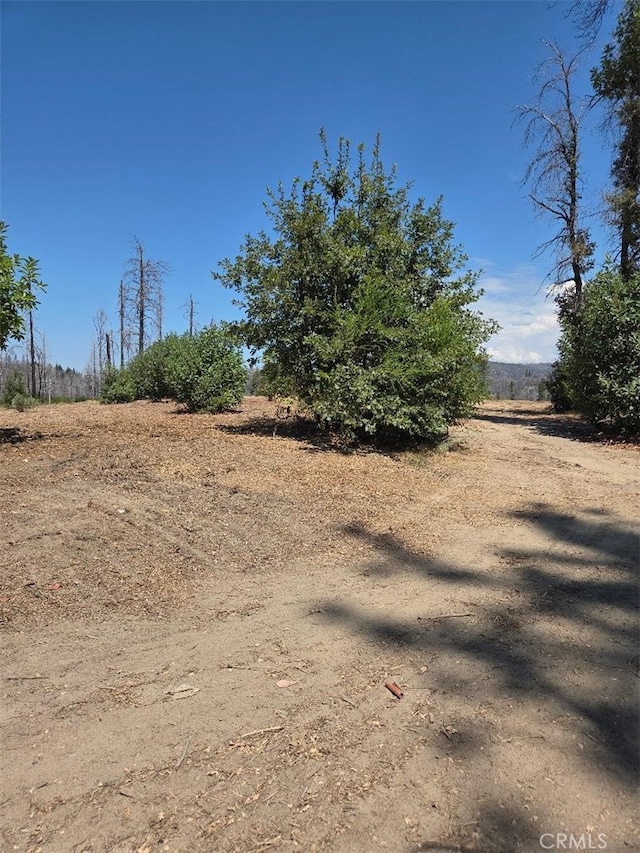 1090 Bald Rock Rd, Berry Creek, CA 95916 - photo 7