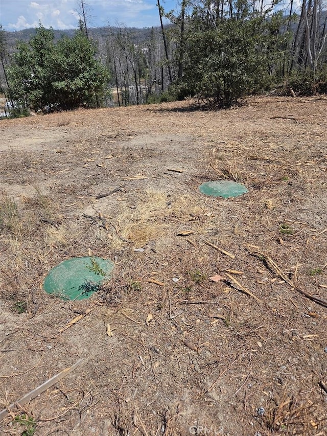 1090 Bald Rock Rd, Berry Creek, CA 95916 - photo 2