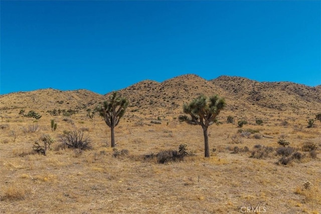 0 Balsa, Yucca Valley, CA 92284 - photo 23