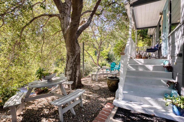354 Glenullen Dr, Pasadena, CA 91105 - photo 15