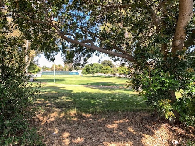 6450 Duluth Ave, San Diego, CA 92114 - photo 24