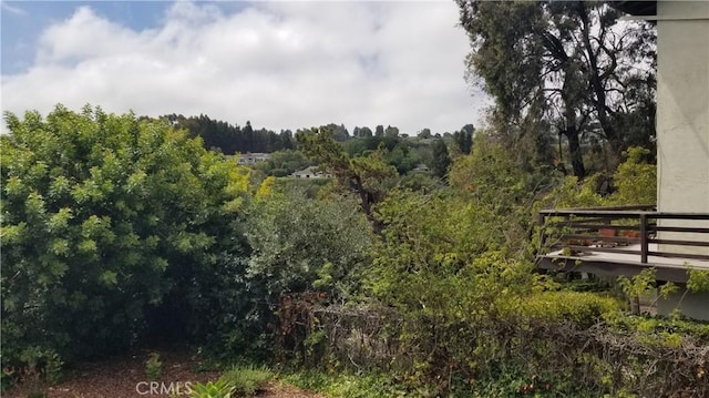 28012 Seashell Way, Rancho Palos Verdes, CA 90275 - photo 12