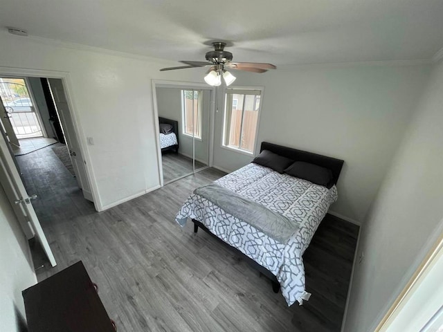 6553 Lemarand Ave, San Diego, CA 92115 - photo 8