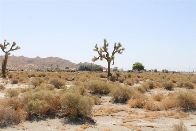4AC Markham Ave, El Mirage, CA 92301 - photo 7