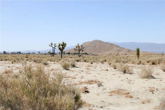 4AC Markham Ave, El Mirage, CA 92301 - photo 6