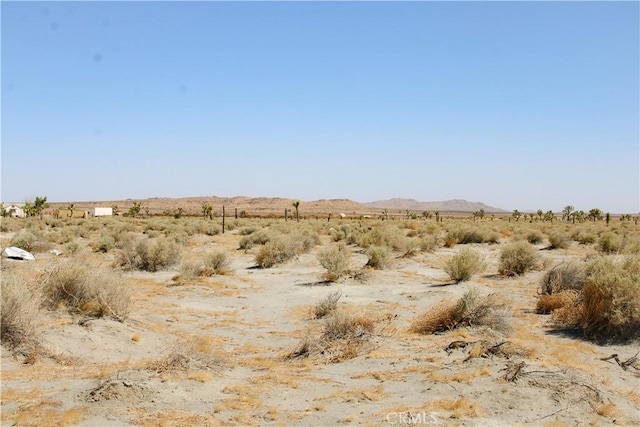 4AC Markham Ave, El Mirage, CA 92301 - photo 11
