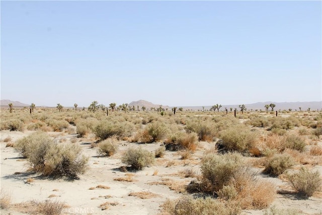 4AC Markham Ave, El Mirage, CA 92301 - photo 10