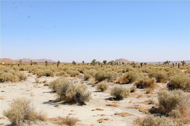 4AC Markham Ave, El Mirage, CA 92301 - photo 13