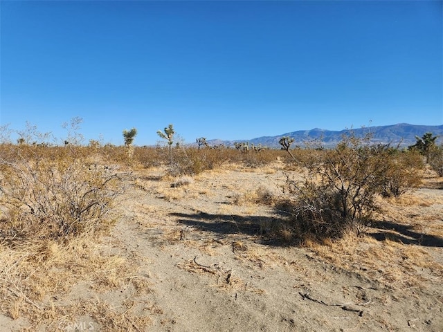 2 Arcadia Rd, Pinon Hills, CA 92372 - photo 7