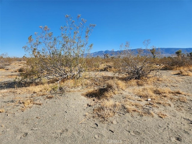 2 Arcadia Rd, Pinon Hills, CA 92372 - photo 8