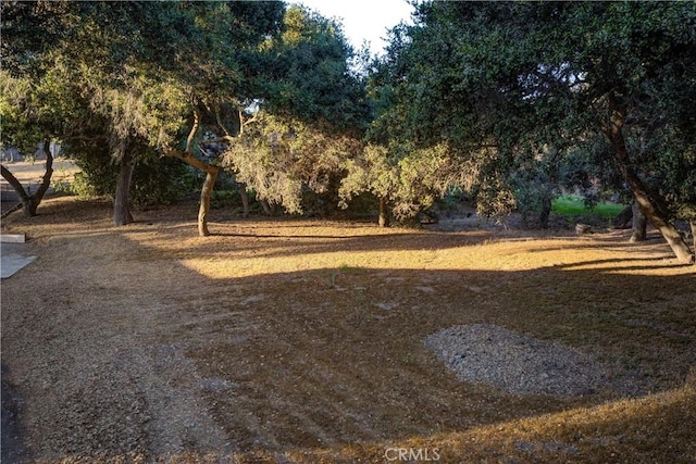 724 Whimbrel Ct, Nipomo, CA 93444 - photo 36