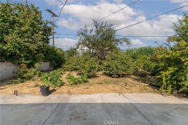 115 S Tamarisk Ave, Rialto, CA 92376 - photo 15