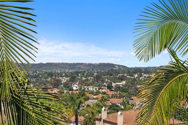 7661 Sitio Algodon, Carlsbad, CA 92009 - photo 39