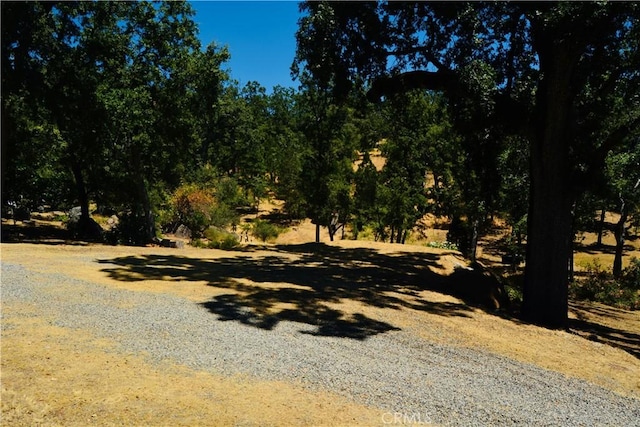 3481134833 Wintergreen Loop, North Fork, CA 93643 - photo 36