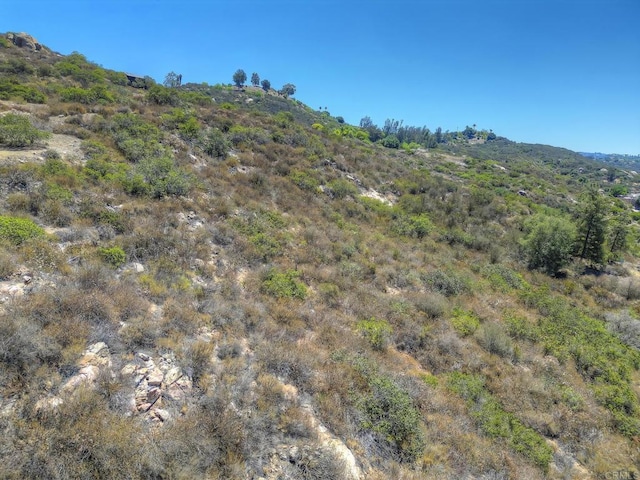 29679 Valley Stream Rd, Valley Center, CA 92082 - photo 12