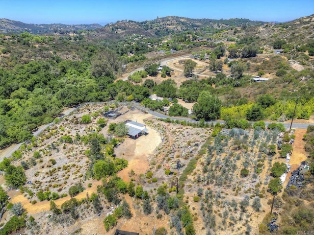 29679 Valley Stream Rd, Valley Center, CA 92082 - photo 5