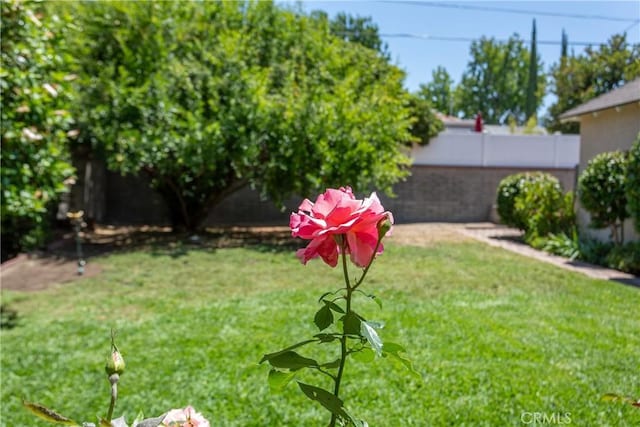 2958 N Buena Vista St, Burbank, CA 91504 - photo 38