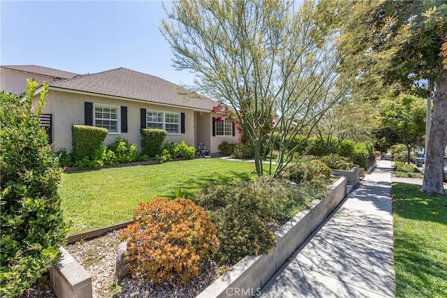 2958 N Buena Vista St, Burbank, CA 91504 - photo 3