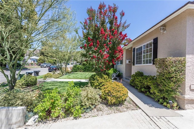 2958 N Buena Vista St, Burbank, CA 91504 - photo 4