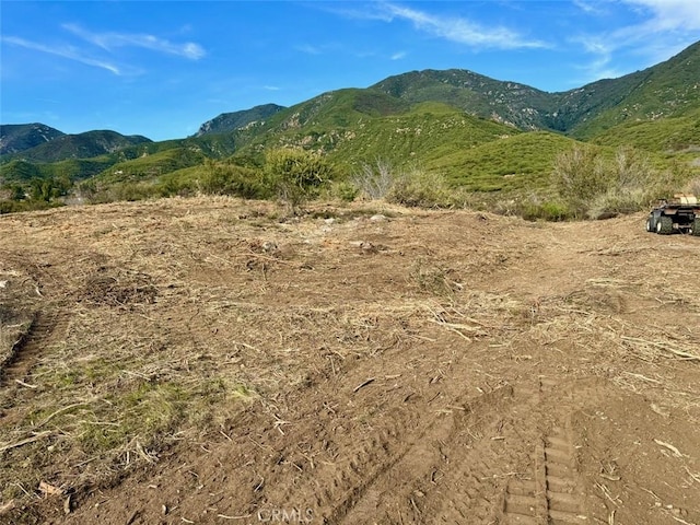 18681 Deercrest Estates Pl, Devore, CA 92407 - photo 6