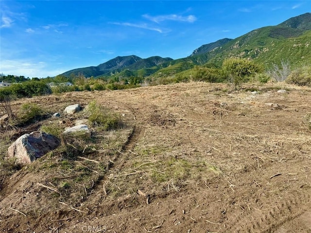 18681 Deercrest Estates Pl, Devore, CA 92407 - photo 4