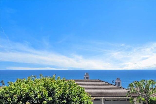 22911 Via Orvieto, Dana Point, CA 92629 - photo 25