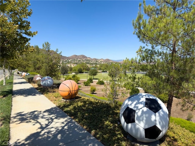 31934 Hollyhock St, Lake Elsinore, CA 92532 - photo 48