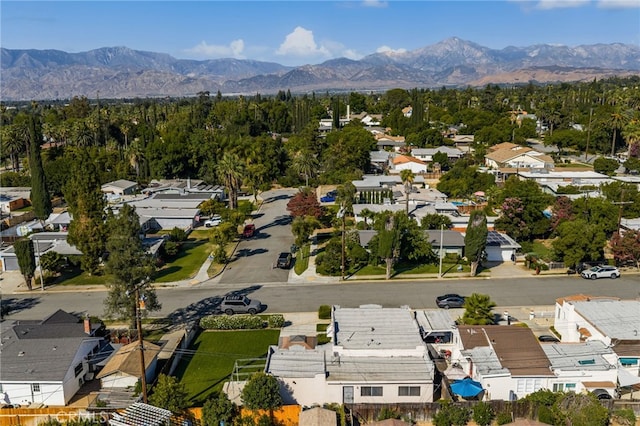 616 Monterey St, Redlands, CA 92373 - photo 31
