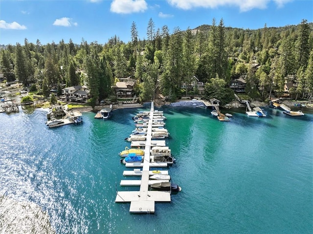54781 Willow Cove Ln, Bass Lake, CA 93604 - photo 48