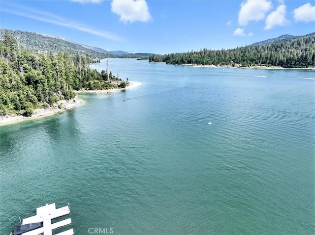 54781 Willow Cove Ln, Bass Lake, CA 93604 - photo 53