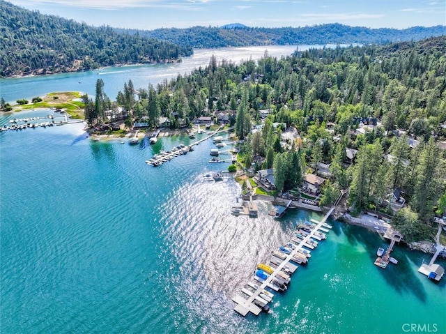 54781 Willow Cove Ln, Bass Lake, CA 93604 - photo 52