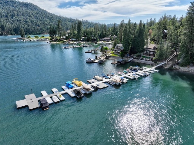54781 Willow Cove Ln, Bass Lake, CA 93604 - photo 50