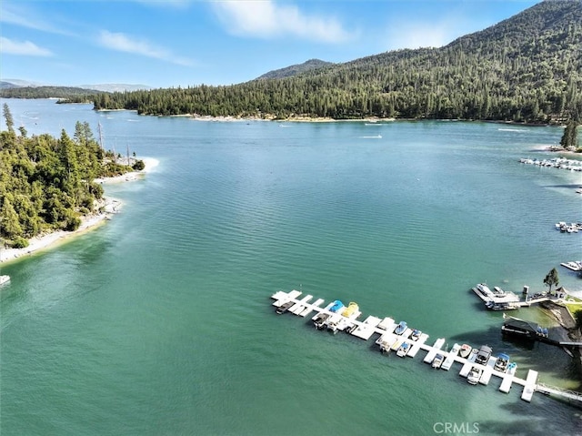 54781 Willow Cove Ln, Bass Lake, CA 93604 - photo 51
