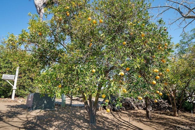 1139 Big Oak Ranch Rd, Fallbrook, CA 92028 - photo 61