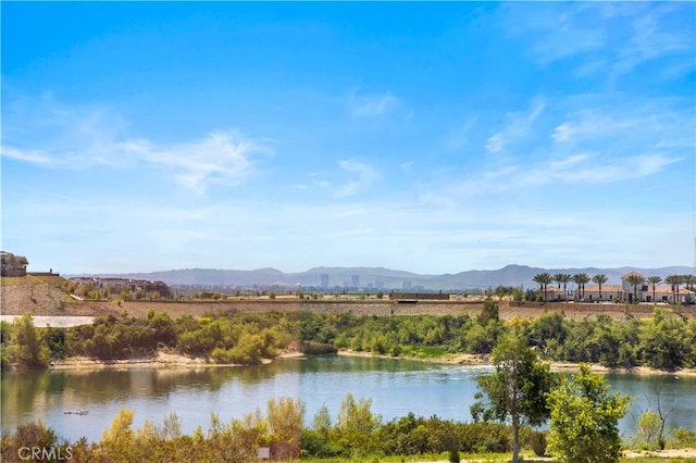 163 Summerland, Irvine, CA 92602 - photo 45