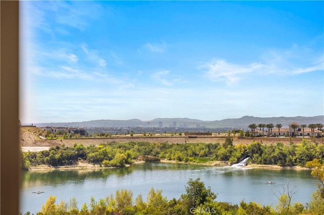 163 Summerland, Irvine, CA 92602 - photo 42
