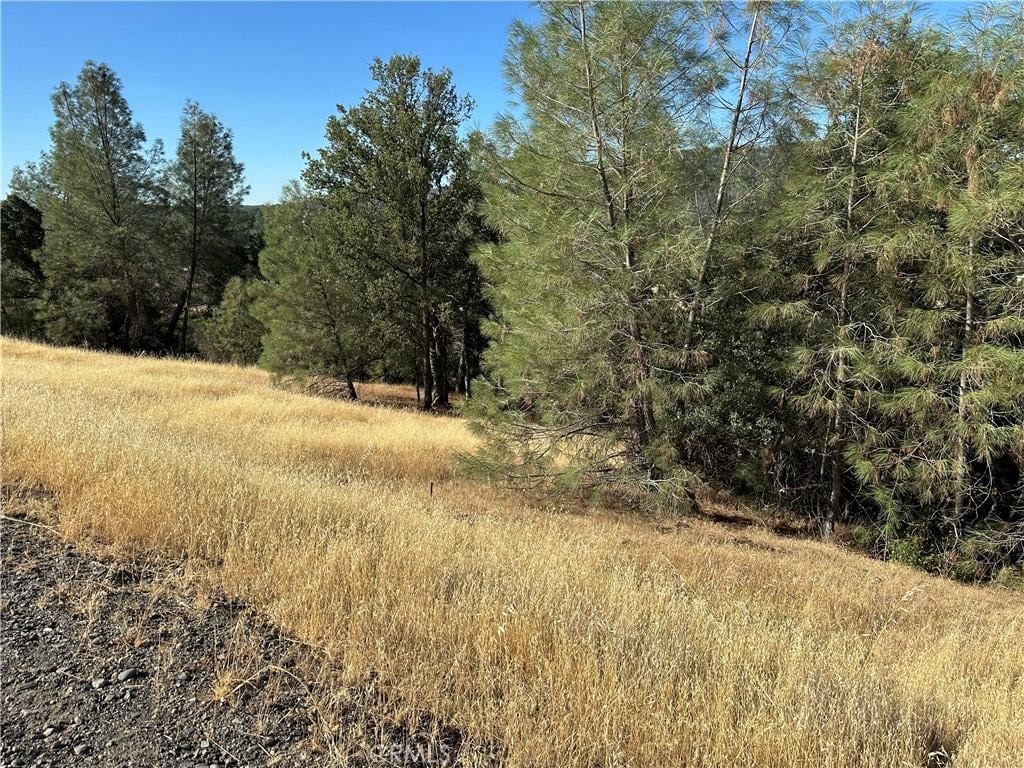 3265 Wolf Creek Rd, Clearlake Oaks, CA 95423 - photo 2