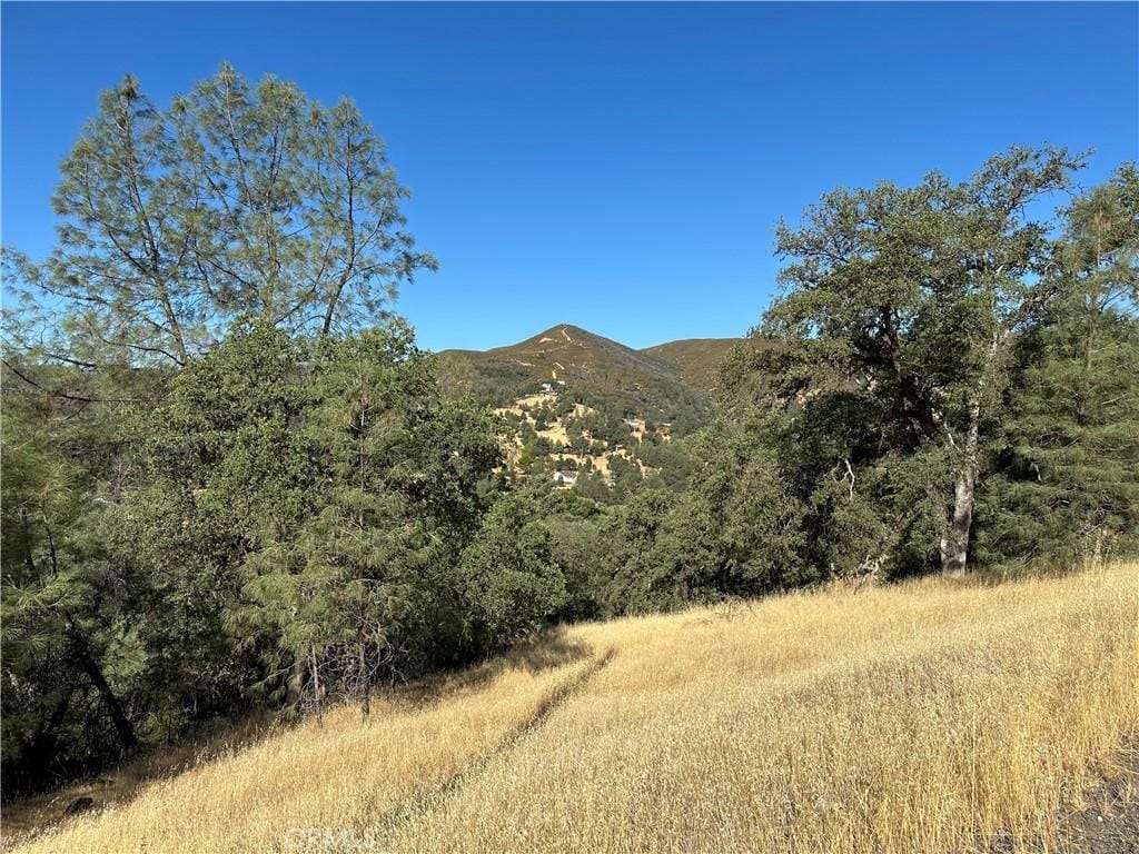 3265 Wolf Creek Rd, Clearlake Oaks, CA 95423 - photo 1