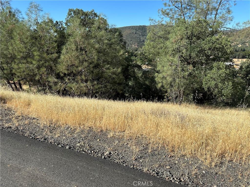 3265 Wolf Creek Rd, Clearlake Oaks, CA 95423 - photo 4