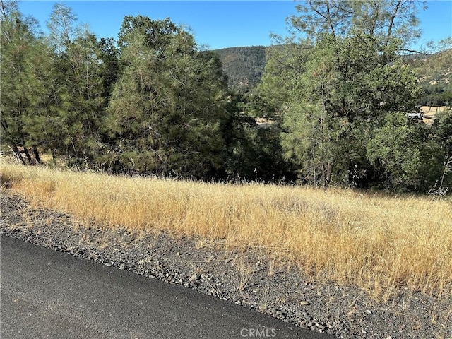 3265 Wolf Creek Rd, Clearlake Oaks, CA 95423 - photo 4