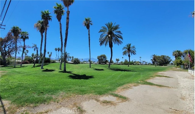 77190 Minnesota Ave, Palm Desert, CA 92211 - photo 52