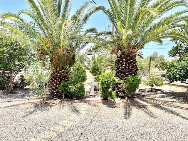 29041 Desert Hills Rd, Menifee, CA 92586 - photo 20