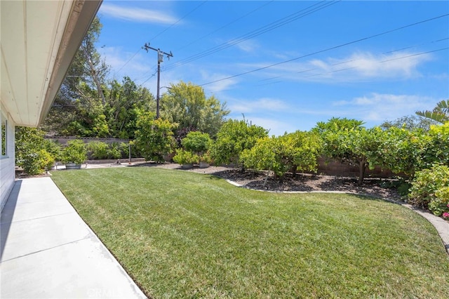 244 3rd St, Fillmore, CA 93015 - photo 25