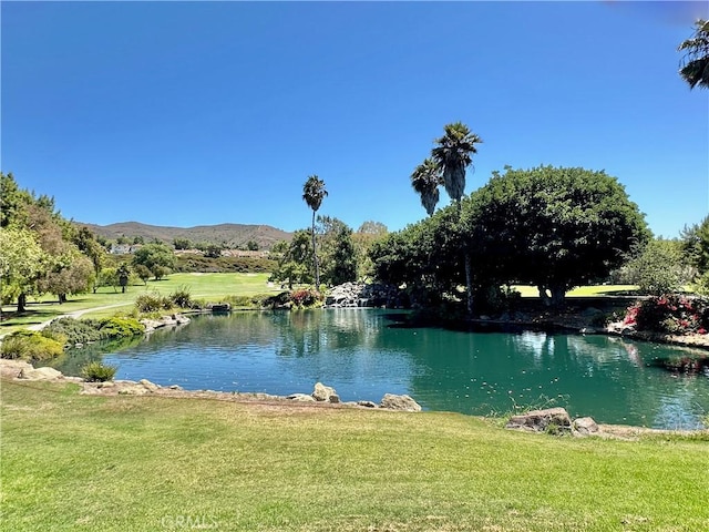 32001 Via Canela, San Juan Capistrano, CA 92675 - photo 28