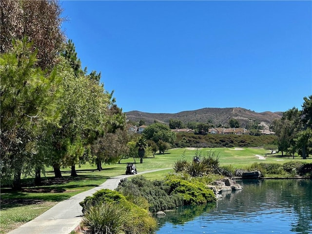 32001 Via Canela, San Juan Capistrano, CA 92675 - photo 27