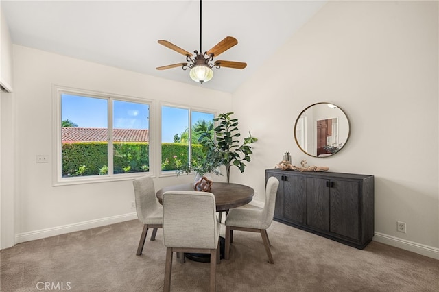 719 S Goldfinch Way, Anaheim Hills, CA 92807 - photo 10