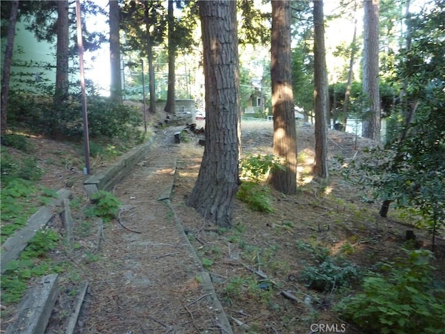 995 Venus Way, Crestline, CA 92325 - photo 9