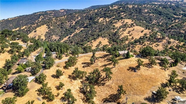 314 Rolling Oak Dr, Tehachapi, CA 93561 - photo 6